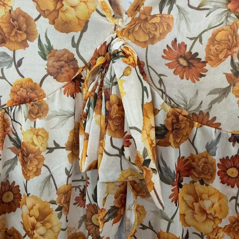 Floral Print V Neck Long Sleeve Bow Tie Front Sheer Blouse Top